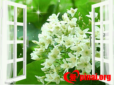 上帝为她开启一扇窗