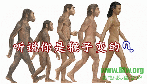 猿猴有必要进化成人吗？