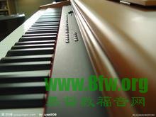 关于钢琴教学初，中，高级别教材