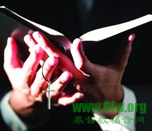 每天如何读圣经？