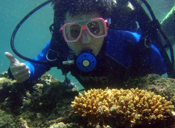 从定情到生娃：约拿和芝麻的十年灵修日记