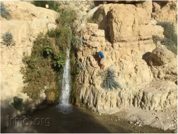 不知情迈出的每一步，都踩在你所铺的道路